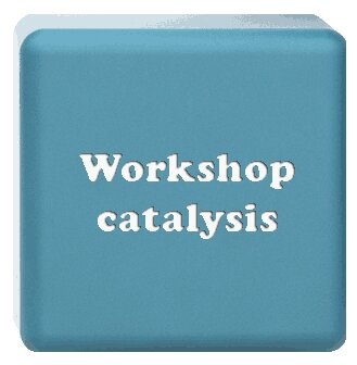 Medium 3D cube labeled with workshop catalyst.<br />©Jezper