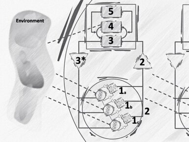 The Viable System Model consists of five subsystems (adapted from Stafford Beer): S1 Value Creation; S2 Harmonization; S3 Coordination; S4 Alignment; S5 Final Authority.